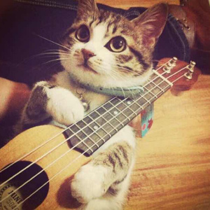 看老头操老婆逼
