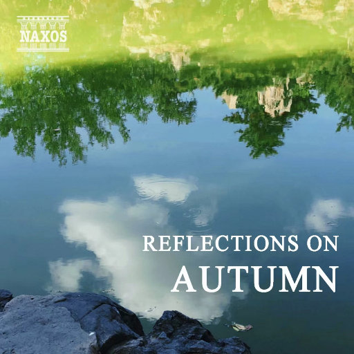 看老头操老婆逼
